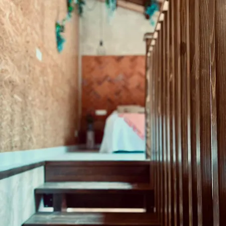 Turisticos Juego De Canas * Astorga